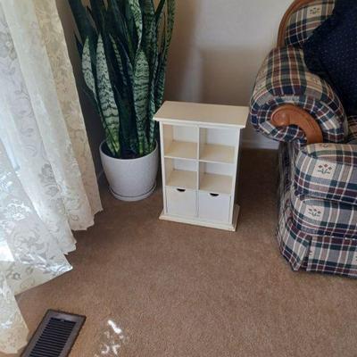 Plants and shelf