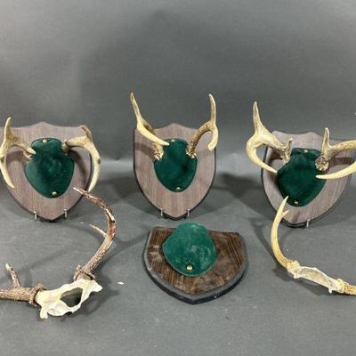 Lot 78 | Three Mounted Deer Antlers & Solo Antlers
