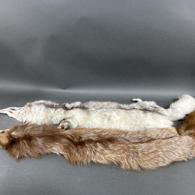 Lot 136 | Two Full Fox Pelts
