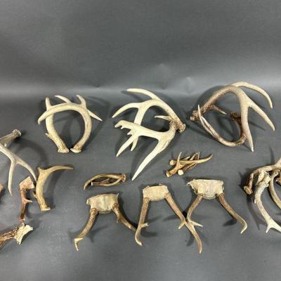 Lot 84 | Deer Antlers, Antler Remnants & More
