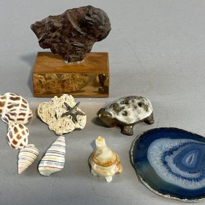 Lot 374 | Artifact Rock Shaped Into Tool & More
