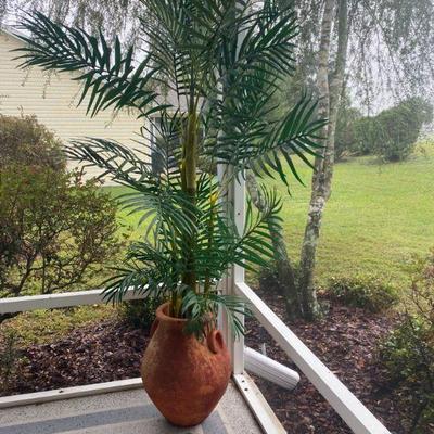 Silk Plant