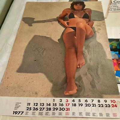 Pin up callender
