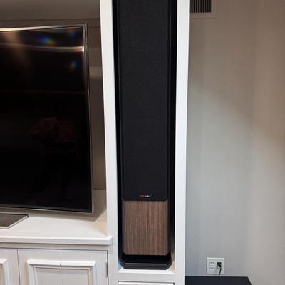 Polk Audio System
