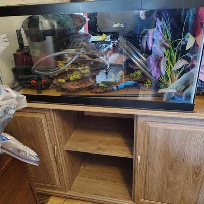 50 fish tank, stand and accessories
