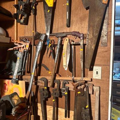 Shed full of tools
