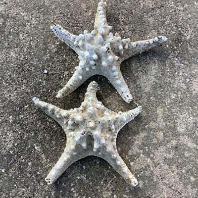 Starfish