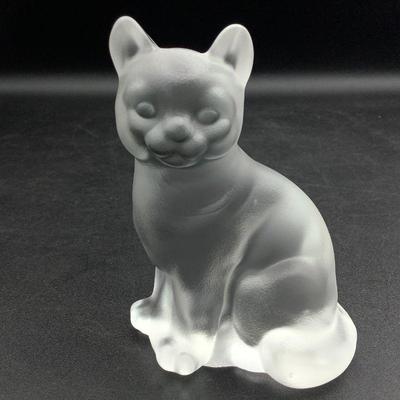 Fenton cat