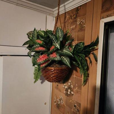 Hanging plant