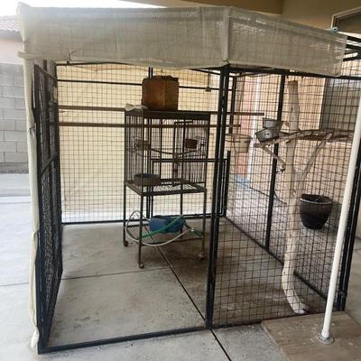 Large dog kennel used
For bird 