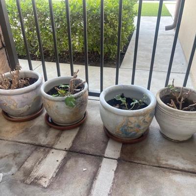 Pots 
