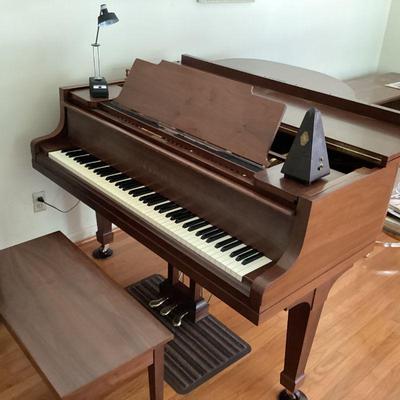 Piano Open with Bench
