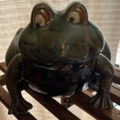 Wide Eyed Green Frog