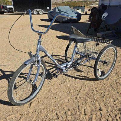 #10 • Miami Sun Tricycle

