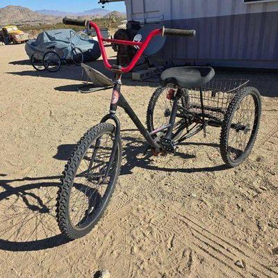 #15 • Fit Bike Tricycle
