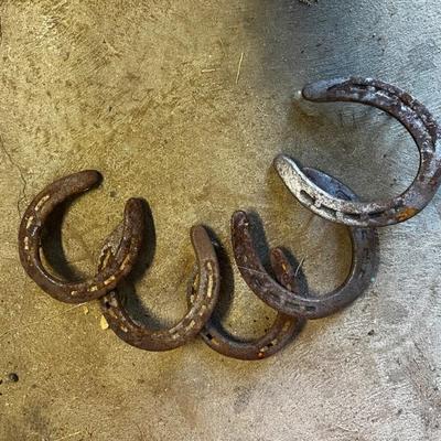 Hoseshoes