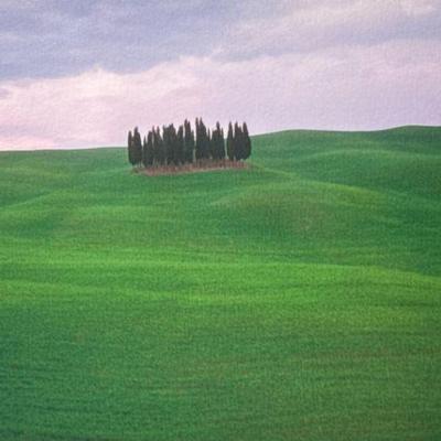 Italian Landscape Print | Pencil signed and dated 2003 lower right, titled lower left, Cipressi; sight 10 x 13.75. - h. 16.25 x w. 20.5...