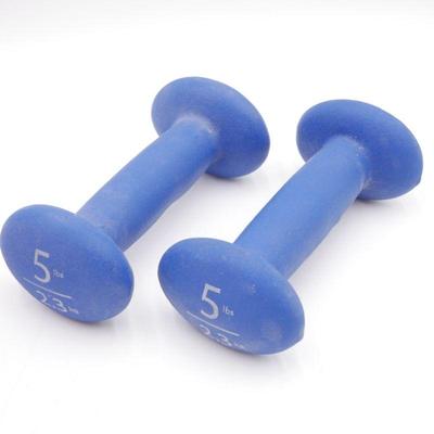 Pair of Blue 5LBS/2.3KG Oval-Shaped Dumbbells