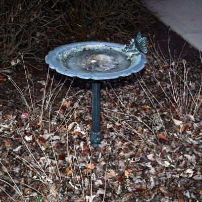 1179 front yard