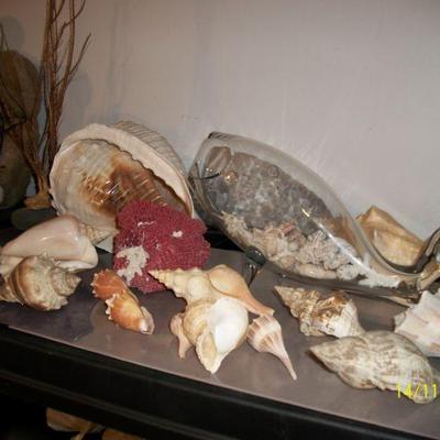 Shells