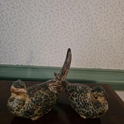 Birds