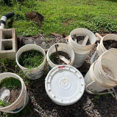 AAT149- Buckets With Soil
