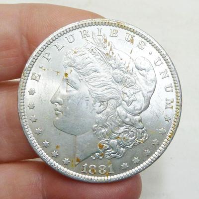 Morgan Silver dollars, coins