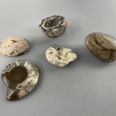Lot 47 | Antique Fossils and Geodes

