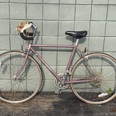 Lot 247 | Raleigh Technium Bike

