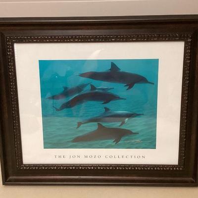 MCS191 Framed Jon Mozo Art Photography Of A Pod Of Dolphins