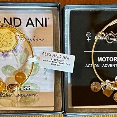 (2) Ani & Alex  Energy Bracelets In Original Box With Tags - Motorcycle & Fortunes Bliss 