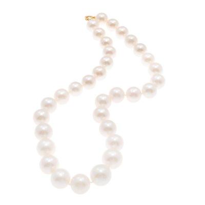 South Sea Cultured Pearl, 18k Yellow Gold Necklace