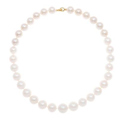 South Sea Cultured Pearl, 18k Yellow Gold Necklace