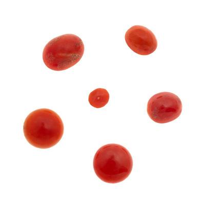 Group of Six Unmounted Coral Cabochons