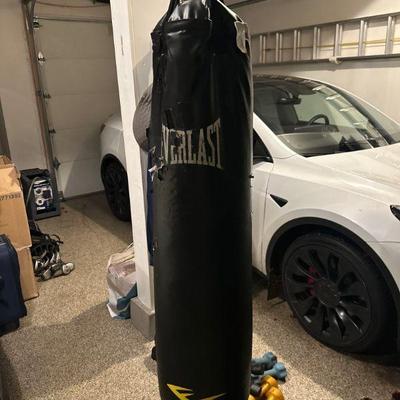 Everlast punching bag