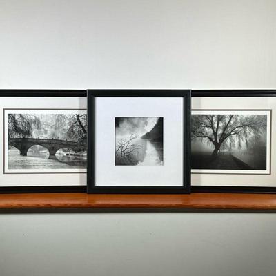(3pc) PARK SCENE ART PHOTOGRAPHS | Moody black and white photographs in nature / park settings, each matted in a simple black frame. - h....