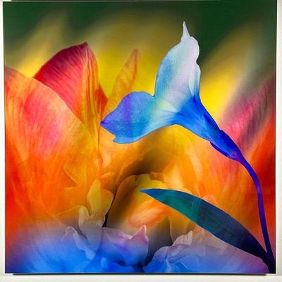 CONTEMPORARY LUCITE FLOWER ART | A contemporary artwork featuring an abstract floral composition rendered in vivid hues of blue, yellow,...