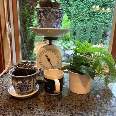 Indoor plants, pots