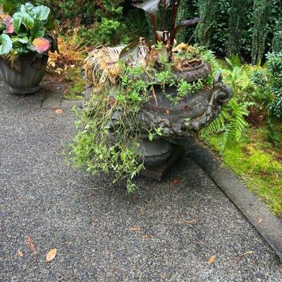 potted plants