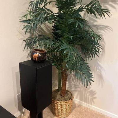 indoor plant