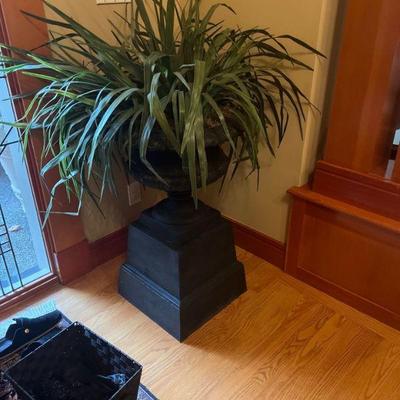 indoor plant