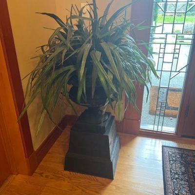 indoor palnt