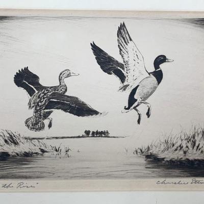 Three waterfowl etchings by Churchill Ettinger