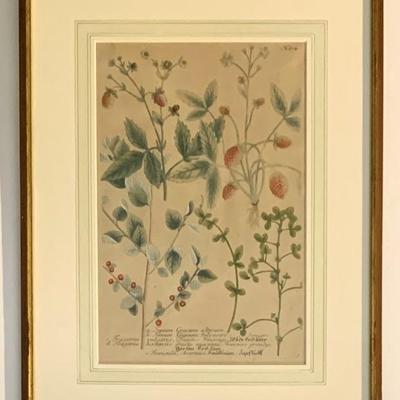 Sale Photo Thumbnail #28: One of seven antique prints from the same book  framed alike.