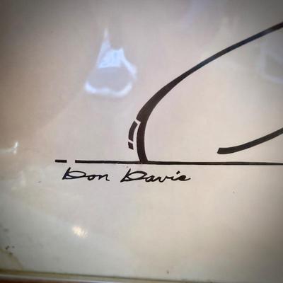 Don Davis framed print