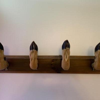 $80 real deer rack