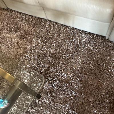 Another 8 x 10 rug.  Has matching runner