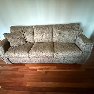 Sleeper sofa