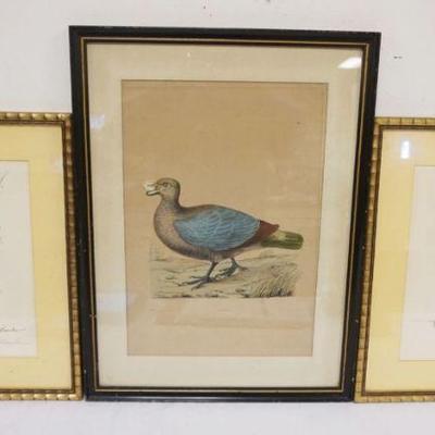 1083	3 FRAMED BIRD PRINTS, 2 BY S NAKAMURA SIGNED & NUMBERED, LARGEST APPROXIMATELY 19 IN X 26 IN OVERALL
