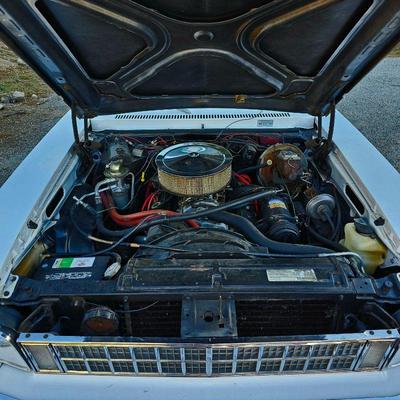 1976 Chevy Nova - Concours Model - 4 Door - Small Block 400hp Engine - White - Red Interior. Runs Great !
